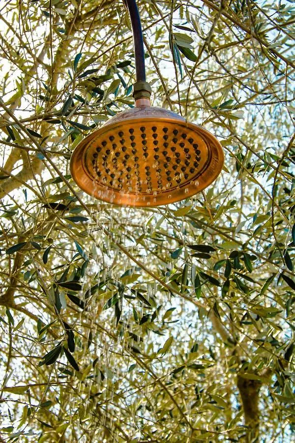 2 Cuori E 1 Yurta Glamping In Tuscany - Adults Only Asciano 0*,