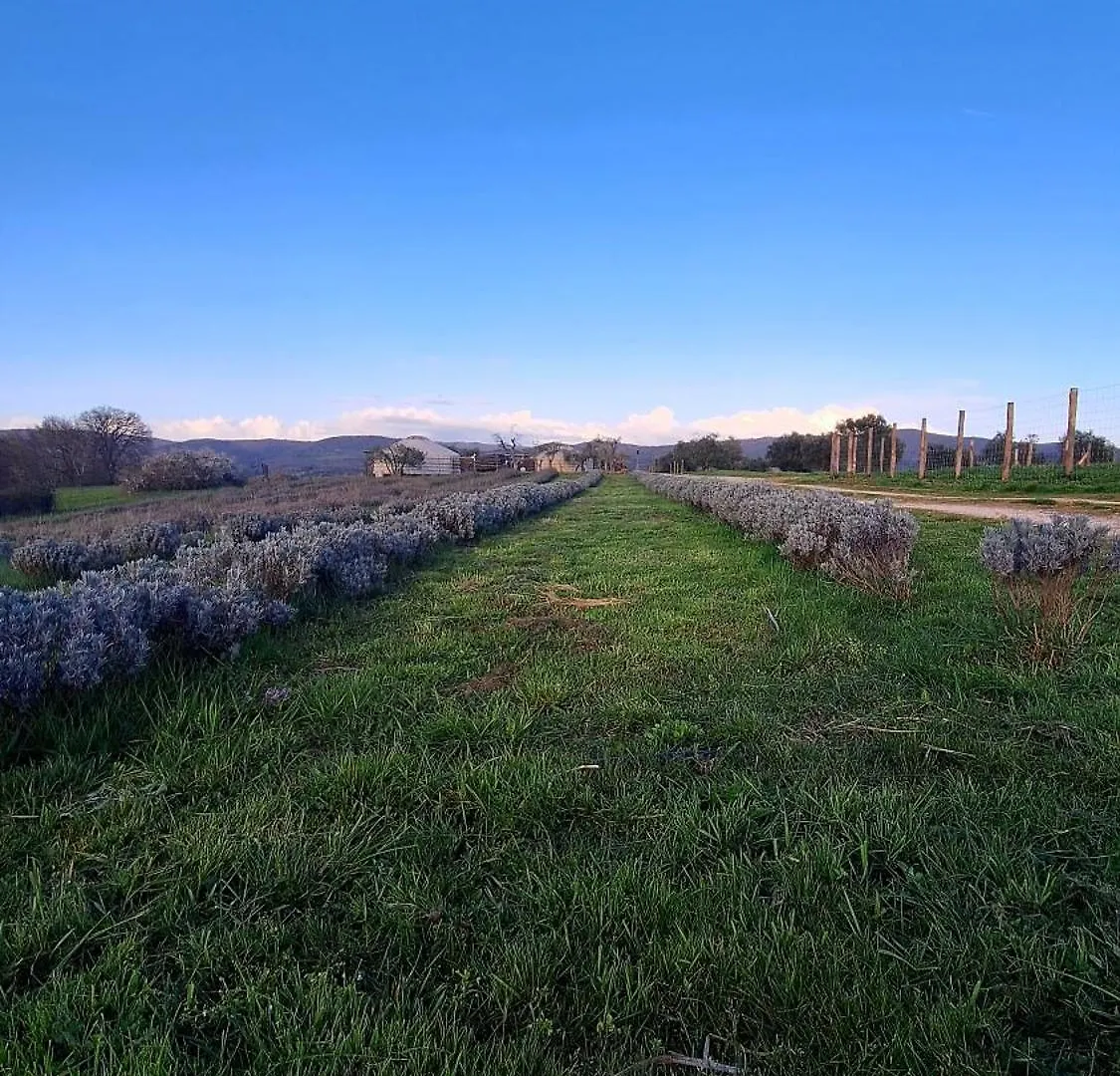 2 Cuori E 1 Yurta Glamping In Tuscany - Adults Only Asciano Luxury tent